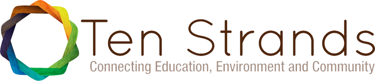 Ten Strands logo